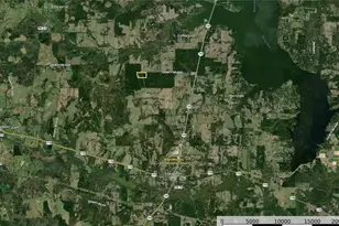 Tract 13 County Road 4224, Frankston, TX 75763 - Photo 16