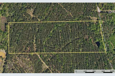 Tract 18 County Road 4224, Frankston, TX 75763 - Photo 10
