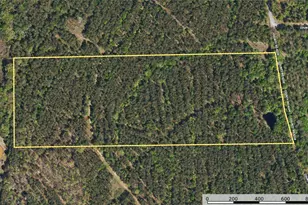 Tract 18 County Road 4224, Frankston, TX 75763 - Photo 10