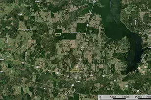 Tract 18 County Road 4224, Frankston, TX 75763 - Photo 12