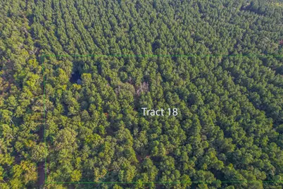 Tract 18 County Road 4224, Frankston, TX 75763 - Photo 1