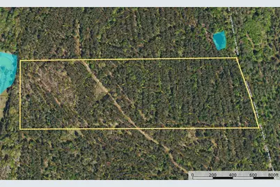 Tract 19 County Road 4224, Frankston, TX 75763 - Photo 10