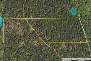 Tract 19 County Road 4224, Frankston, TX 75763 - Photo 10