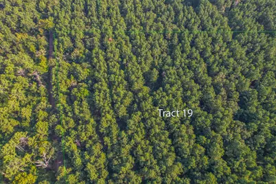 Tract 19 County Road 4224, Frankston, TX 75763 - Photo 1