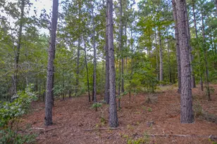 Tract 19 County Road 4224, Frankston, TX 75763 - Photo 4