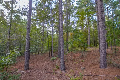 Tract 20 County Road 4224, Frankston, TX 75763 - Photo 8