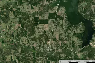 Tract 20 County Road 4224, Frankston, TX 75763 - Photo 12