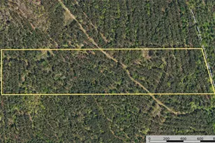 Tract 20 County Road 4224, Frankston, TX 75763 - Photo 10