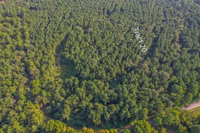 Tract 20 County Road 4224, Frankston, TX 75763 - Photo 1