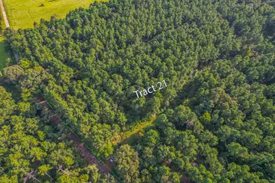Tract 21 County Road 4224, Frankston, TX 75763 - Photo 1