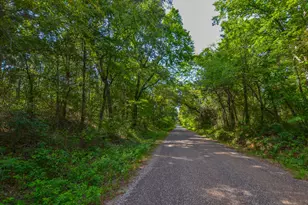 Tract 21 County Road 4224, Frankston, TX 75763 - Photo 4