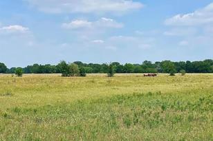 12053 S 34 Hwy, Scurry, TX 75158 - Photo 2