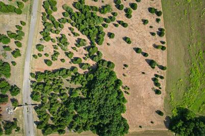 Lot 11 Baybridge, Kerens, TX 75144 - Photo 4