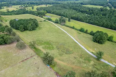 Lake Country (Lot 1 & 1A) Tx-77, Atlanta, TX 75551 - Photo 4