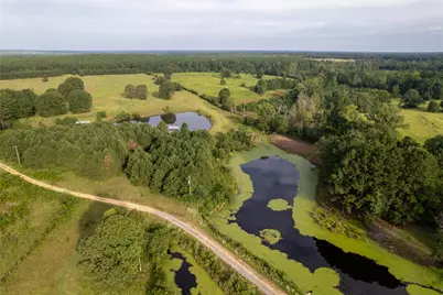 Lake Country (Lot 12) Tx-77, Atlanta, TX 75551 - Photo 2