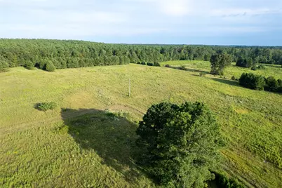 Lake Country (Lot 15) Tx-77, Atlanta, TX 75551 - Photo 1