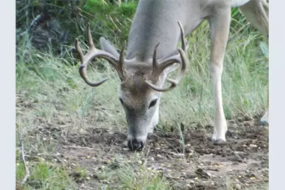 28021 White Bluff Drive, Whitney, TX 76692 - Photo 34