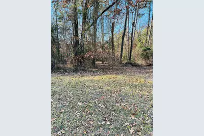 Lot 31 Winding Ln, Mount Vernon, TX 75457 - Photo 2