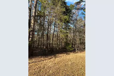 Lot 32 & 33 Winding Lane, Mount Vernon, TX 75457 - Photo 4
