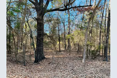 Lot 32 & 33 Winding Lane, Mount Vernon, TX 75457 - Photo 1