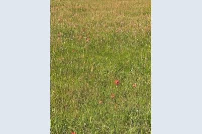 Tbd Fm 17, Grand Saline, TX 75140 - Photo 12