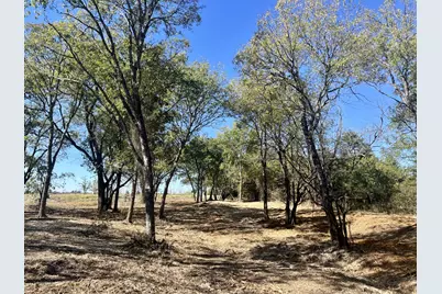 00 Fm 198, Lake Creek, TX 75450 - Photo 4
