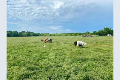 7984 County Road 2582, Royse City, TX 75189 - Photo 16