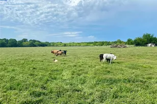 7984 Co Rd 2582, Royse City, TX 75189 - Photo 16