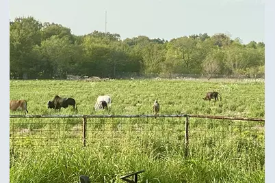 7984 County Road 2582, Royse City, TX 75189 - Photo 14