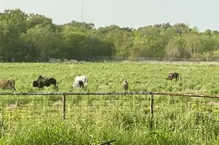 7984 Co Rd 2582, Royse City, TX 75189 - Photo 14