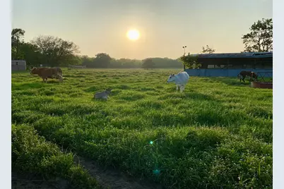 7984 County Road 2582, Royse City, TX 75189 - Photo 18