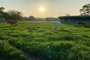 7984 Co Rd 2582, Royse City, TX 75189 - Photo 18