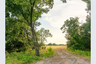 Tbd County Road 3660 County Road 3660, Ladonia, TX 75449 - Photo 6