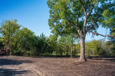 Tbd County Road 3660 County Road 3660, Ladonia, TX 75449 - Photo 10