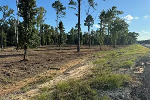 16393 W State Highway 31, Tyler, TX 75709 - Photo 8