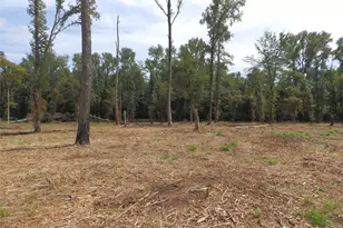 16393 W State Highway 31, Tyler, TX 75709 - Photo 6