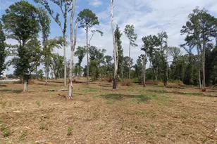 16393 W State Highway 31, Tyler, TX 75709 - Photo 12