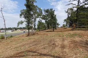 16393 W State Highway 31, Tyler, TX 75709 - Photo 10