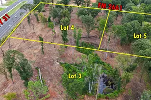 16393 W State Highway 31, Tyler, TX 75709 - Photo 4