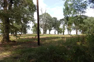 16393 W State Highway 31, Tyler, TX 75709 - Photo 6