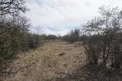 Lot 297 Shooting Star Court, Possum Kingdom Lake, TX 76449 - Photo 4