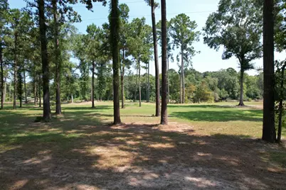 Tbd (Lot 1) County Road 3545, Joaquin, TX 75954 - Photo 8