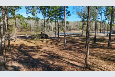 Tbd (Lot 1) County Road 3545, Joaquin, TX 75954 - Photo 22