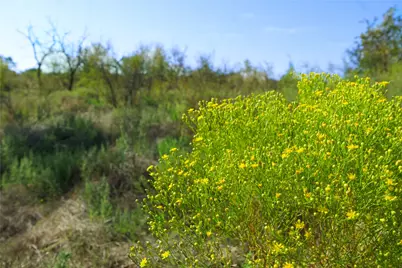 Tbd Hwy 81, Ringgold, TX 76261 - Photo 8