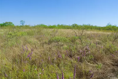 Tbd Hwy 81, Ringgold, TX 76261 - Photo 10