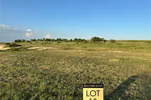 1029 Bear Crk Rnch Rd, Aledo, TX 76008 - Photo 1