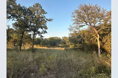 157 Paradise Oaks Court, Paradise, TX 76073 - Photo 4