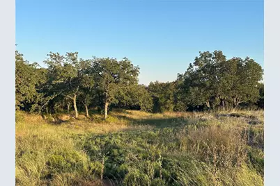 157 Paradise Oaks Court, Paradise, TX 76073 - Photo 10