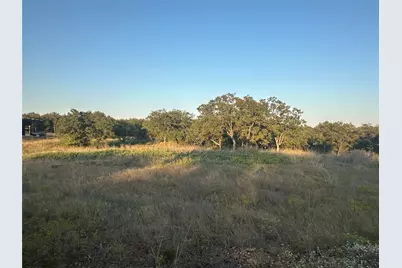 157 Paradise Oaks Court, Paradise, TX 76073 - Photo 8