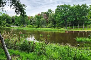 9042 Safari Bluff, LaRue, TX 75770 - Photo 20